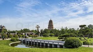贝博艾佛森 德阳城市绿化一般种什么花